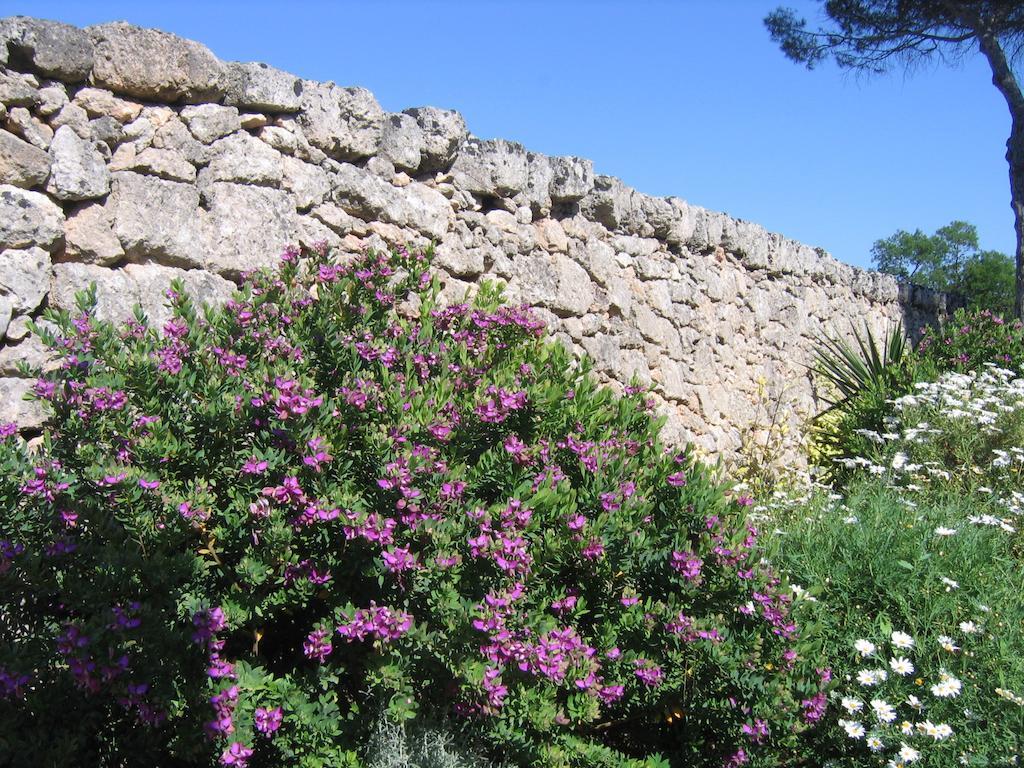 Masseria Pagani Nardò Esterno foto