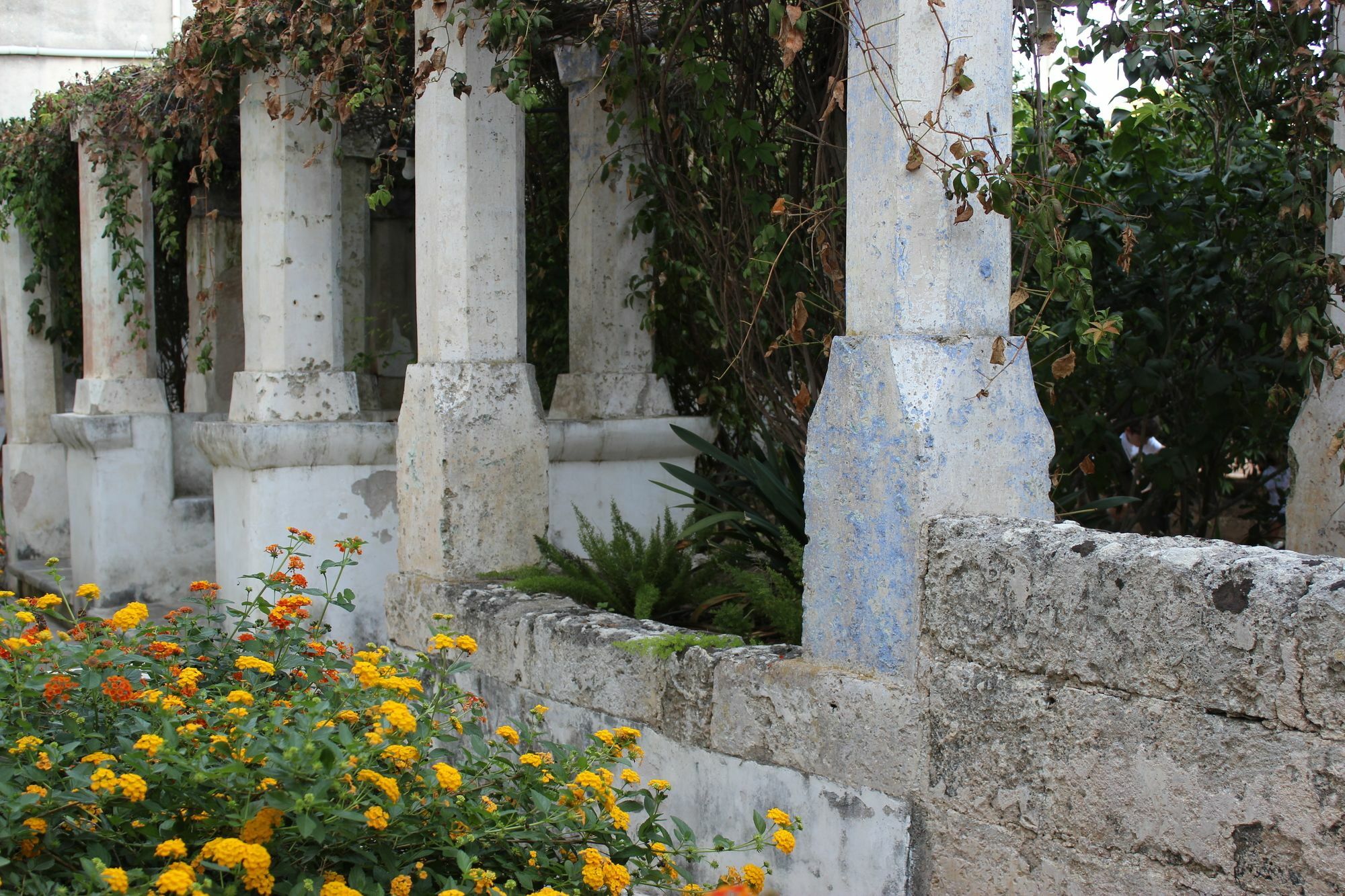 Masseria Pagani Nardò Esterno foto